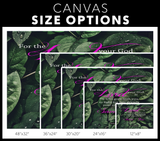 MeditateHealing.com Gallery Quality Framed Canvas Wall Art