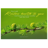 MeditateHealing.com Gallery Quality Framed Canvas Wall Art