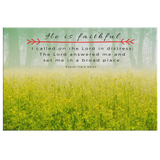 MeditateHealing.com Gallery Quality Framed Canvas Wall Art