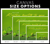 MeditateHealing.com Gallery Quality Framed Canvas Wall Art