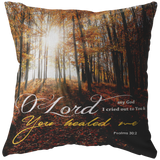 MeditateHealing.com | Superior Broadcloth Fabric Throw Pillow Case