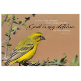 MeditateHealing.com Gallery Quality Framed Canvas Wall Art