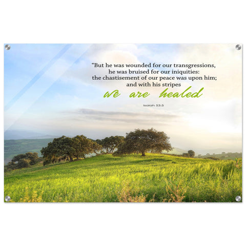 04e7d1b4-506c-467b-a6a8-dbaa1ddbd9ed