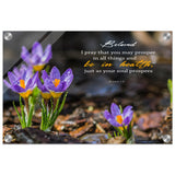 0b099aed-346d-407d-afa6-abd835034bd9