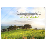 0bb1d93a-fc42-4f85-9b2f-ed31546c4004