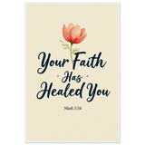 117ddab3-948d-48ad-8b9a-25eb5ab543b7