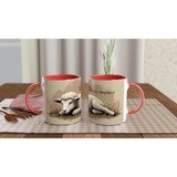 1d6f5973-6238-462d-988b-b87ef4125926