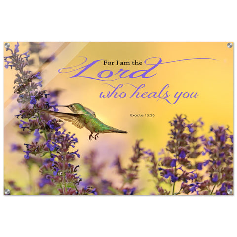 1e42c8a6-f910-4970-b4a3-f33aee6716eb