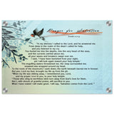 201081a3-926c-47be-8ed6-da046260e1f0