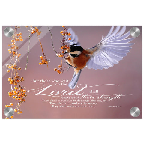 2eb45d5c-085b-4ea1-9c9e-f9c593b01909