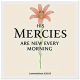 33c64708-90e0-419e-8385-1137528183f2