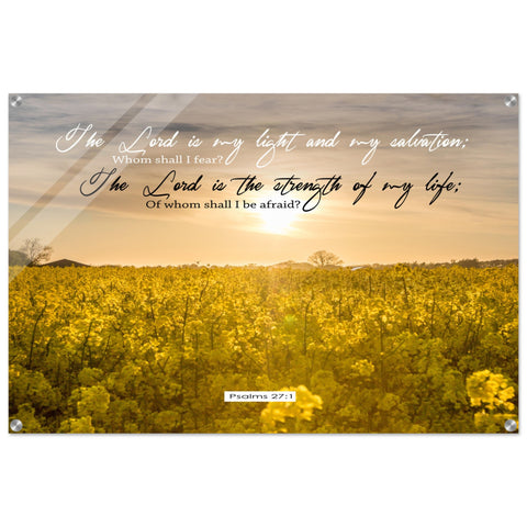 473ea691-7e0b-43ed-a742-4af8cddc913a