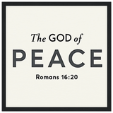 4f7e1376-4487-467b-b647-1f3812a6c21c