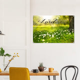 51cc58b0-d501-4557-b211-81a46b9ee4fd