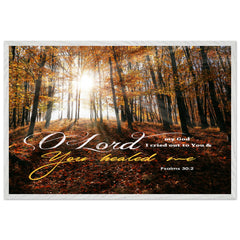 Museum-Quality Premium Wooden Framed Poster | O Lord My God, You Healed Me ~Psalm 30:2~