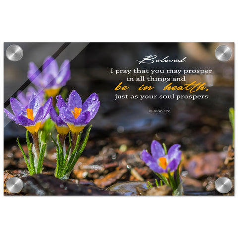 56ba8680-0f4c-432f-92b0-5f492a3f706d