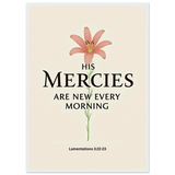 57bdc899-35f1-43e0-85b4-b7a13390863e