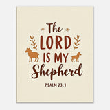 658c5cd7-0ee6-4cae-86e1-cb9295b07e27