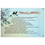 685036c1-93ce-4ac1-bf4e-e73c05548f92