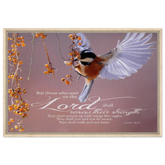 Premium Quality Framed Canvas | The Lord Renew My Strength ~Isaiah 40:31~