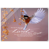 8d1fc020-4bd5-44e3-af26-a9972b4cc753