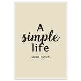 8e9d8117-da43-47e7-84d3-c299e7810d78