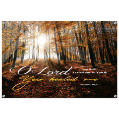 Contemporary Acrylic Print | O Lord My God, You Healed Me ~Psalm 30:2~