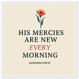 953fc8cc-0deb-4f58-933c-e73cd9ffe958