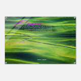 979ef2c9-3321-4993-b432-20c6d048dd5a