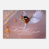 a56757f3-5228-48de-9cd1-a4e8d30b905c