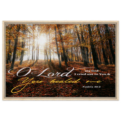 Premium Quality Framed Canvas | O Lord My God, You Healed Me ~Psalm 30:2~