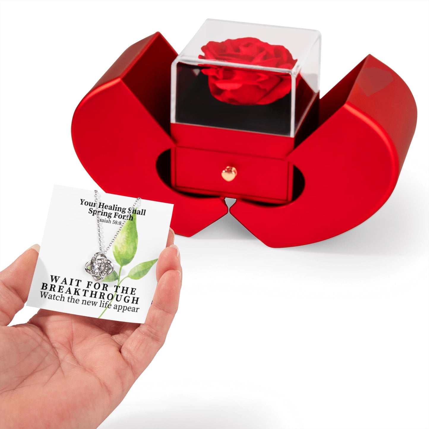Your Healing Shall Spring Forth (Isaiah 58:8) | Love Knot Necklace in Red Heart Rose Box