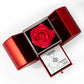 Be Kind And Compassionate (Ephesians 4:32) | Love Knot Necklace in Red Heart Rose Box