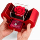Took Our Infirmities (Matthew :17) | Love Knot Necklace in Red Heart Rose Box