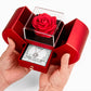 He Heals Your Diseases (Psalm 103:3) | Love Knot Necklace in Red Heart Rose Box