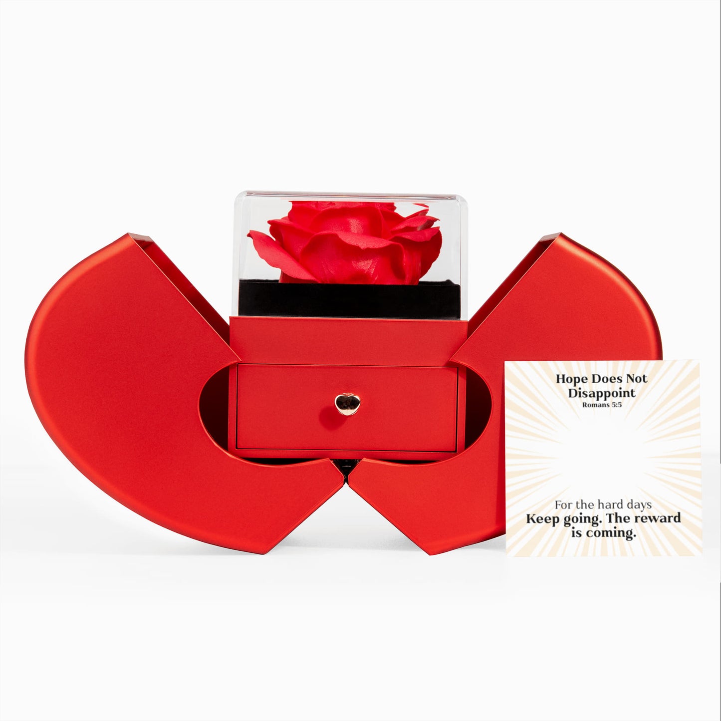 Hope Does Not Disappoint (Romans 5:5) | Love Knot Necklace in Red Heart Rose Box