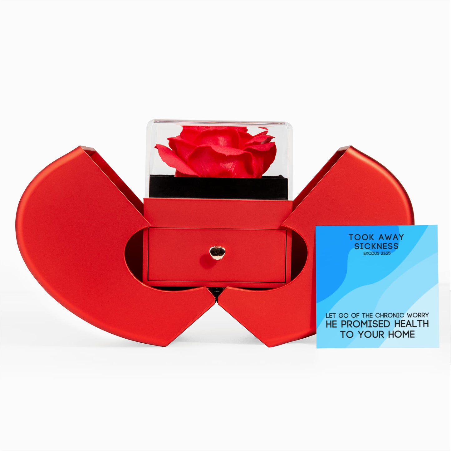 Took Away Sickness (Exodus 23:25) | Love Knot Necklace in Red Heart Rose Box