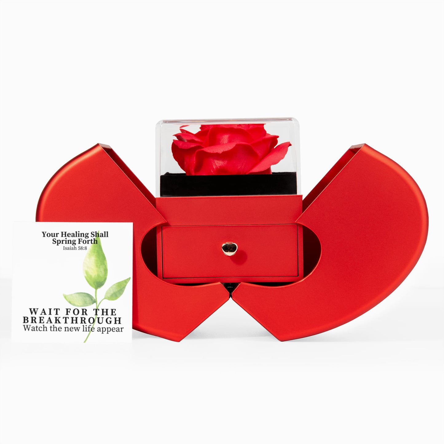 Your Healing Shall Spring Forth (Isaiah 58:8) | Love Knot Necklace in Red Heart Rose Box