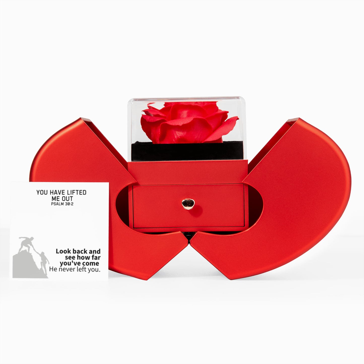 You Have Lifted Me Out (Psalm 30:2) | Love Knot Necklace in Red Heart Rose Box