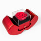 Took Our Infirmities (Matthew :17) | Love Knot Necklace in Red Heart Rose Box