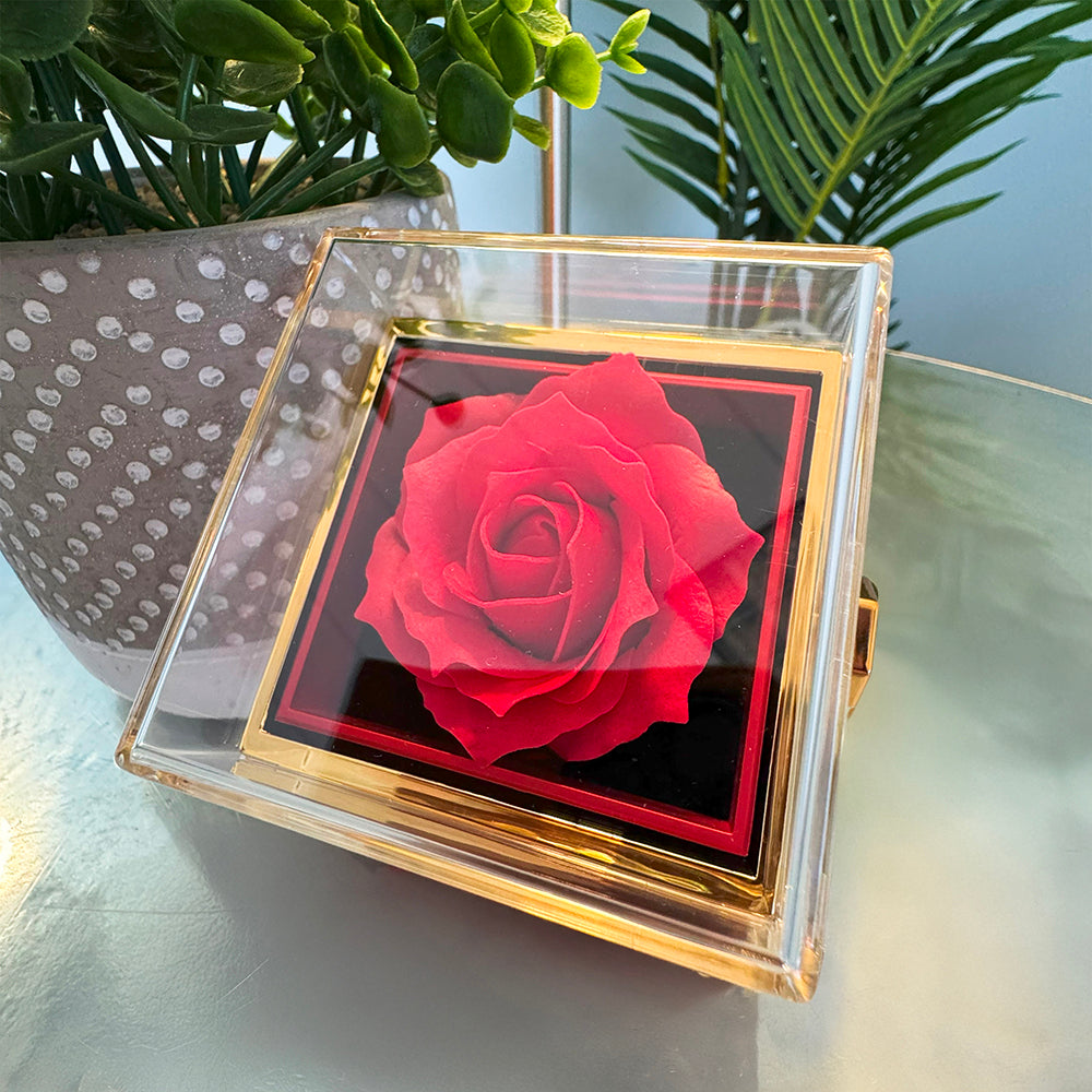 Be Kind And Compassionate (Ephesians 4:32) | Alluring Beauty Necklace in Rotating Rose Gift Box