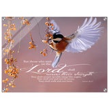 b58a200a-6e2f-470b-8e5e-5c588f6e570d