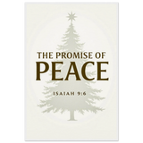 c6104931-5024-46b1-a7e8-63fef69ec202