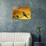 cae70050-3cc8-400d-a7a9-d64654c28b4b