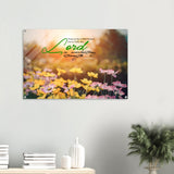 d365372b-99cc-4f3e-a634-34d8119550b0