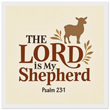 dc385dce-b6aa-4d52-a816-f21cdd1bcb4a