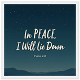 e2d53580-1770-48d4-b656-7d73629fffc9