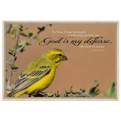 Premium Quality Framed Canvas | God Is My Defense, My God Of Mercy ~Psalm 59:17~