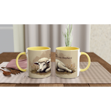 f4f72e9c-6e4f-43d5-b165-f44e9a3b5531