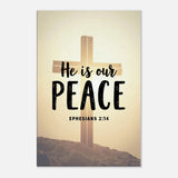 fbb484f7-8568-446e-9edd-8ef343751f32